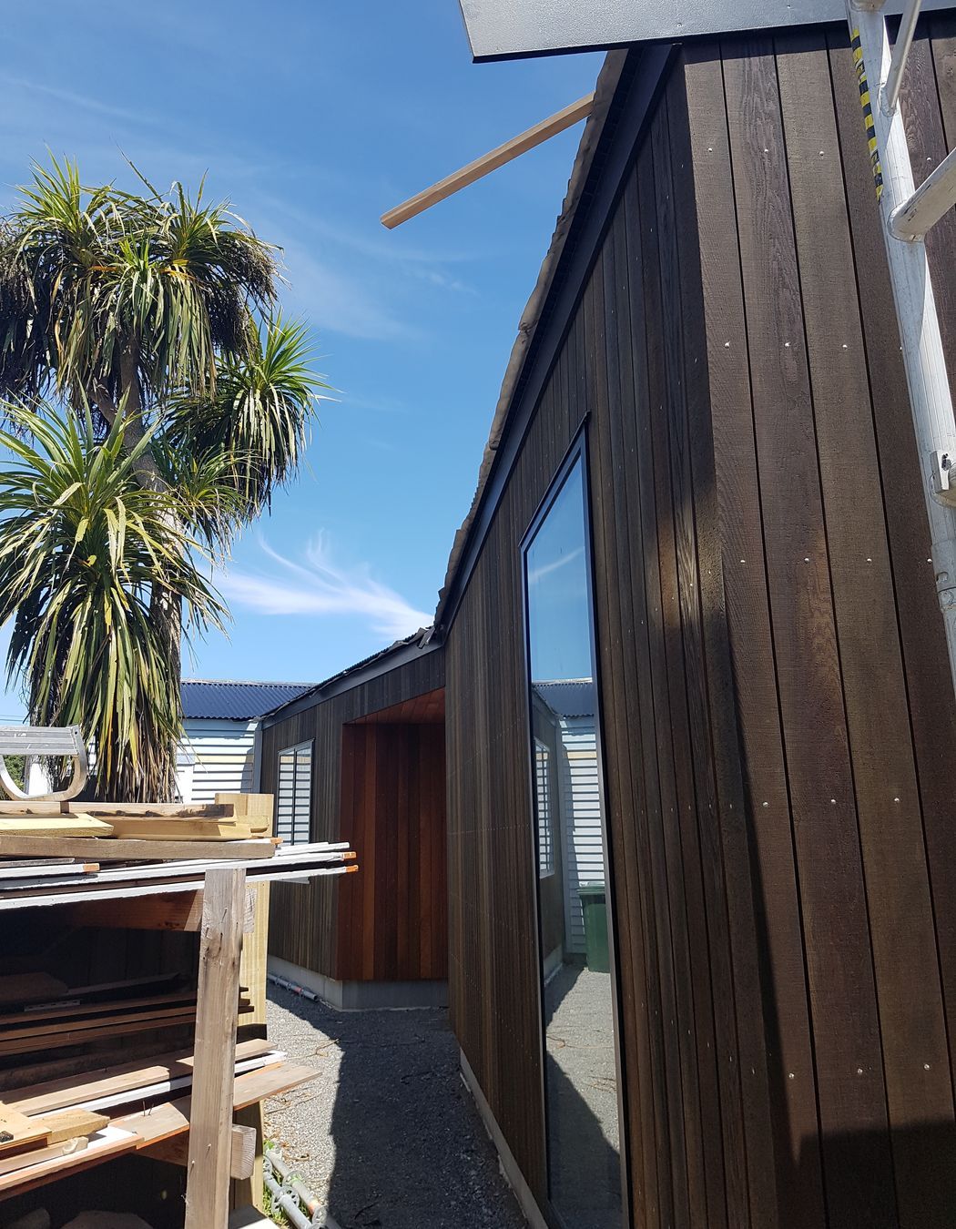 Lyall Bay
