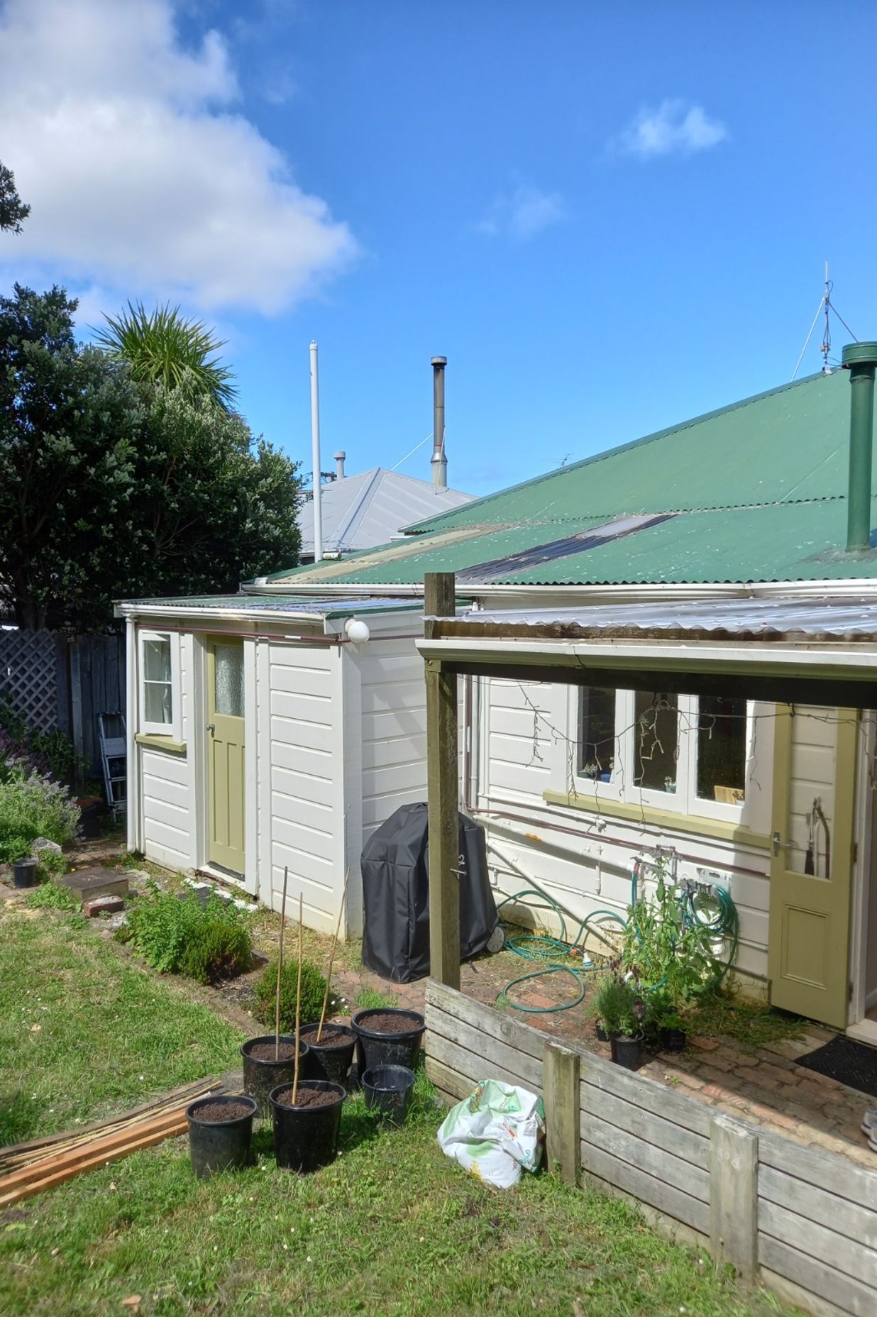 Wellington, Newtown