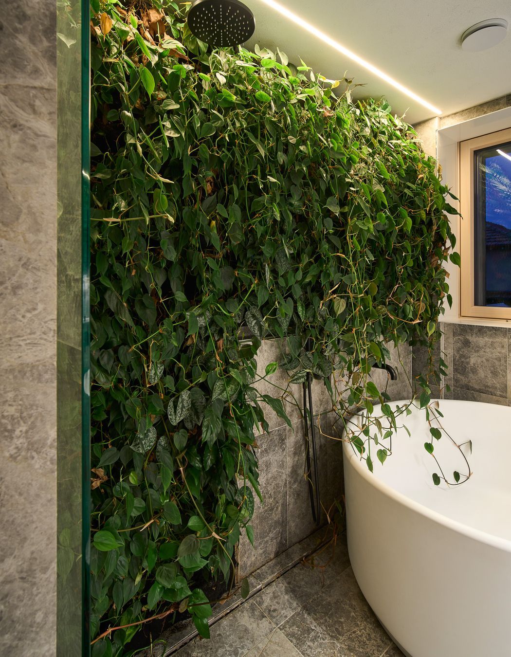 Coburg House - Grand Designs