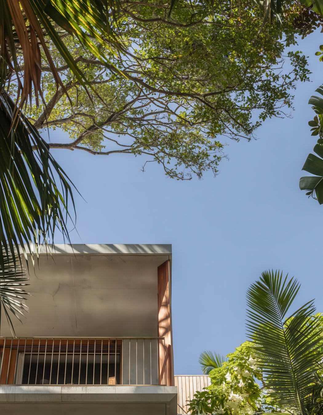 2024-02-29Cadence-CoPalm-Beach4015resized-720x1080-gigapixel-low-resolution-v2-2x.jpeg
