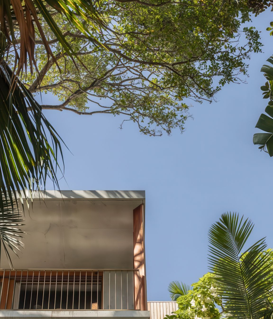2024-02-29Cadence-CoPalm-Beach4015resized-720x1080-gigapixel-low-resolution-v2-2x.jpeg
