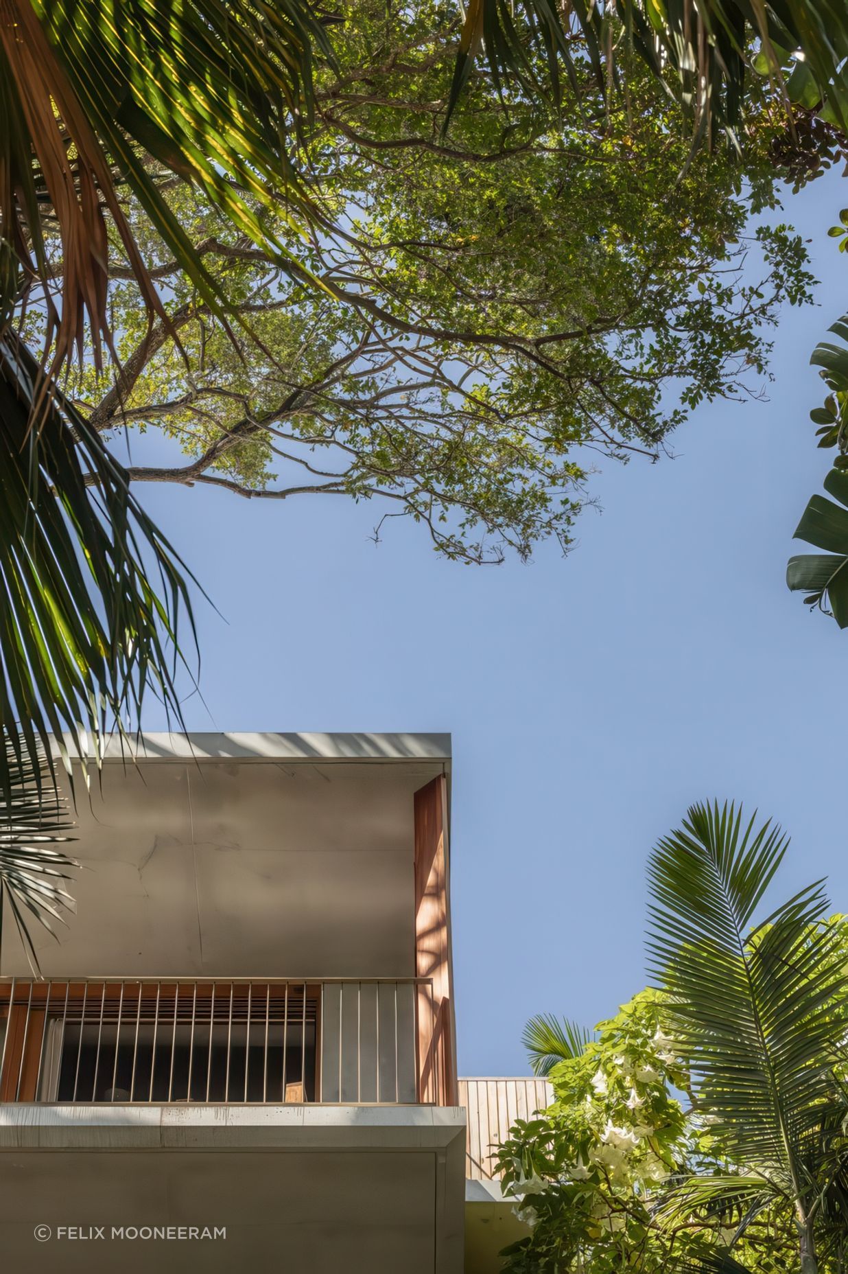 2024-02-29Cadence-CoPalm-Beach4015resized-720x1080-gigapixel-low-resolution-v2-2x.jpeg