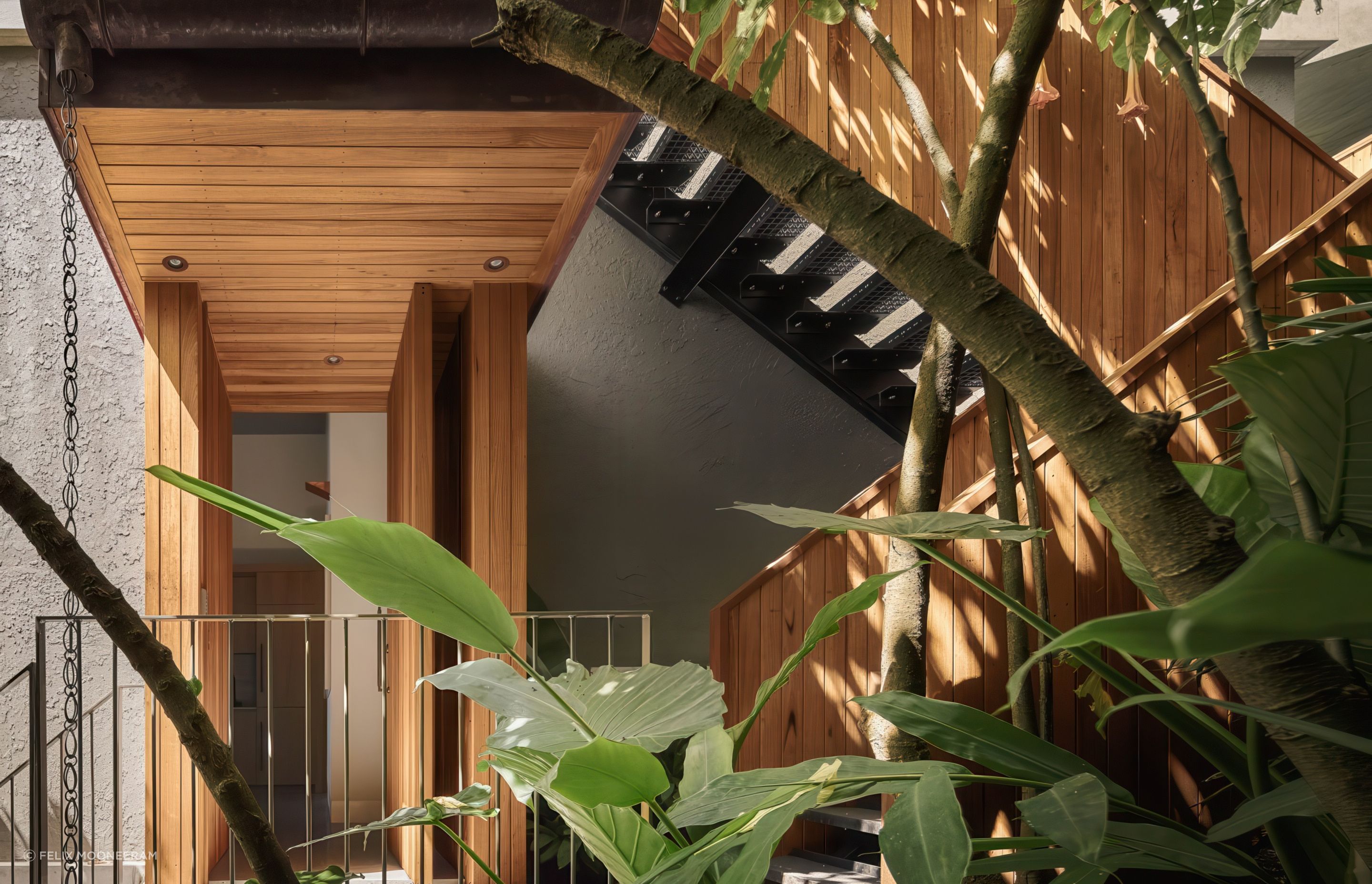 2024-02-29Cadence-CoPalm-Beach4362-Editresized-1440x1080-gigapixel-low-resolution-v2-2x.jpeg