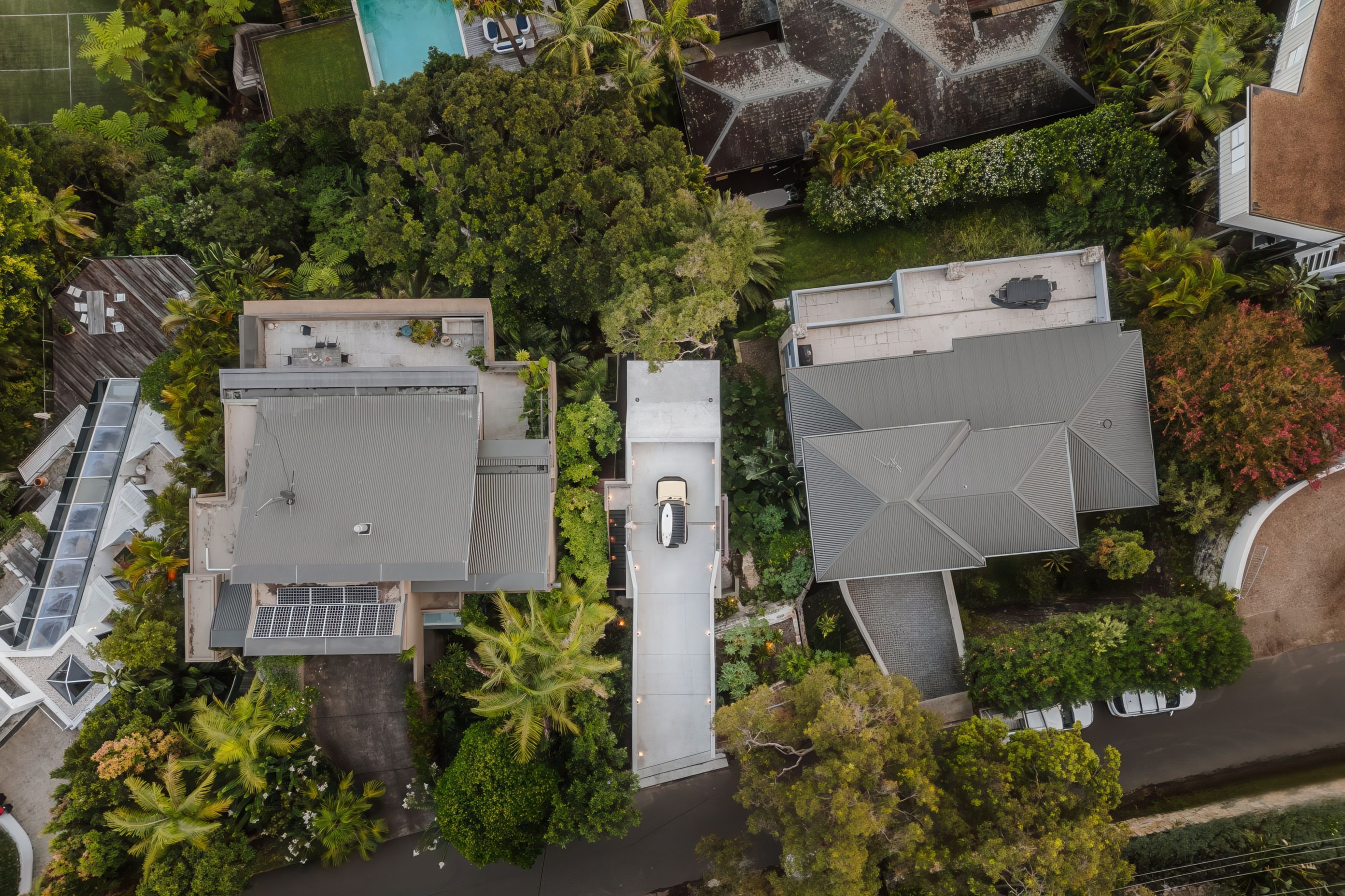 2024-02-29Cadence-CoPalm-Beach4508-Editresized-1441x1080-gigapixel-low-resolution-v2-2x.jpeg