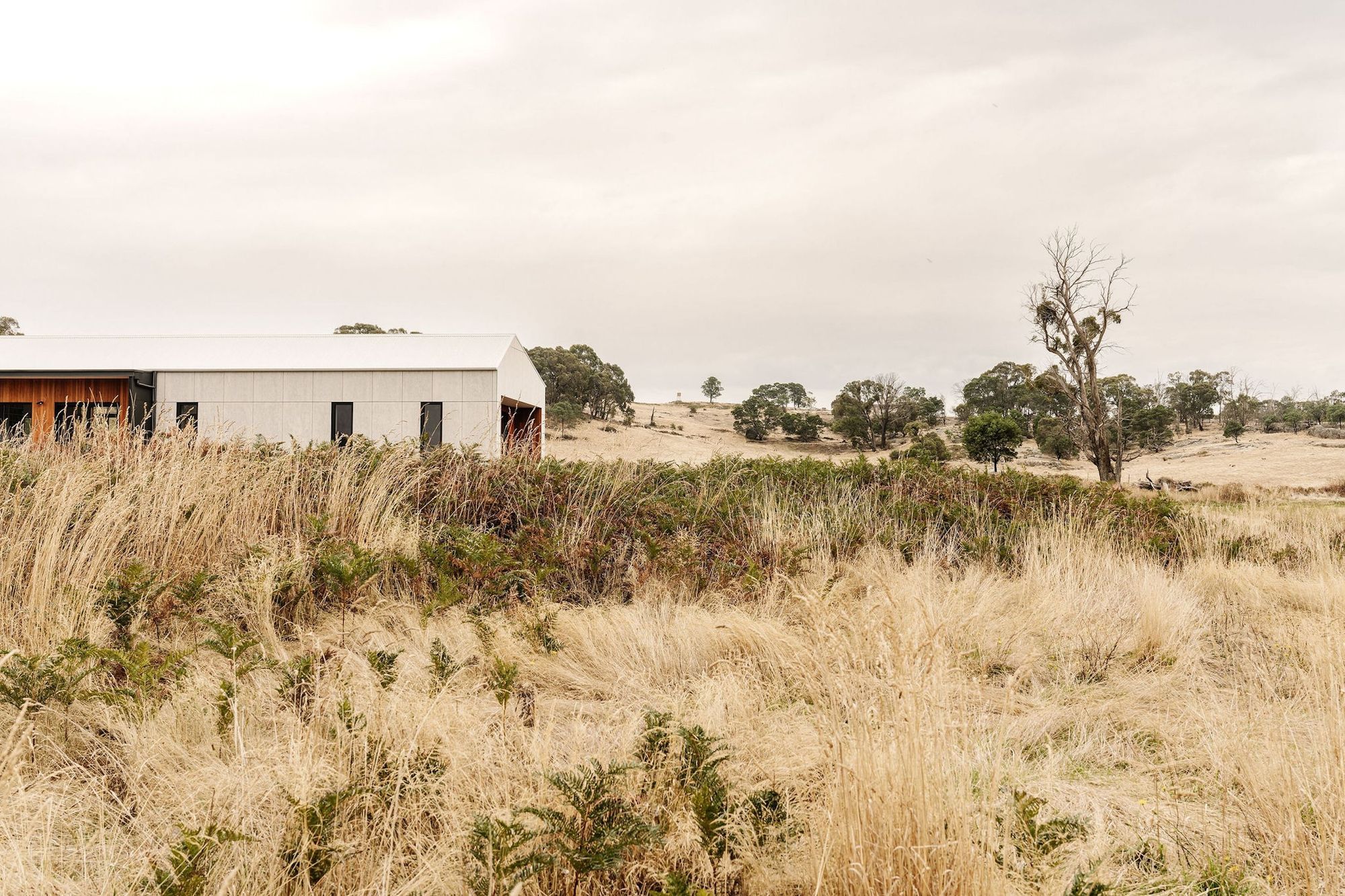 27-envirotecture-huffnpuffhaus-passivhaus-victoria-exterior.jpg