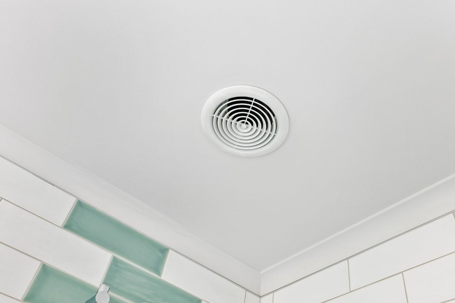 Jennian Homes, Northland