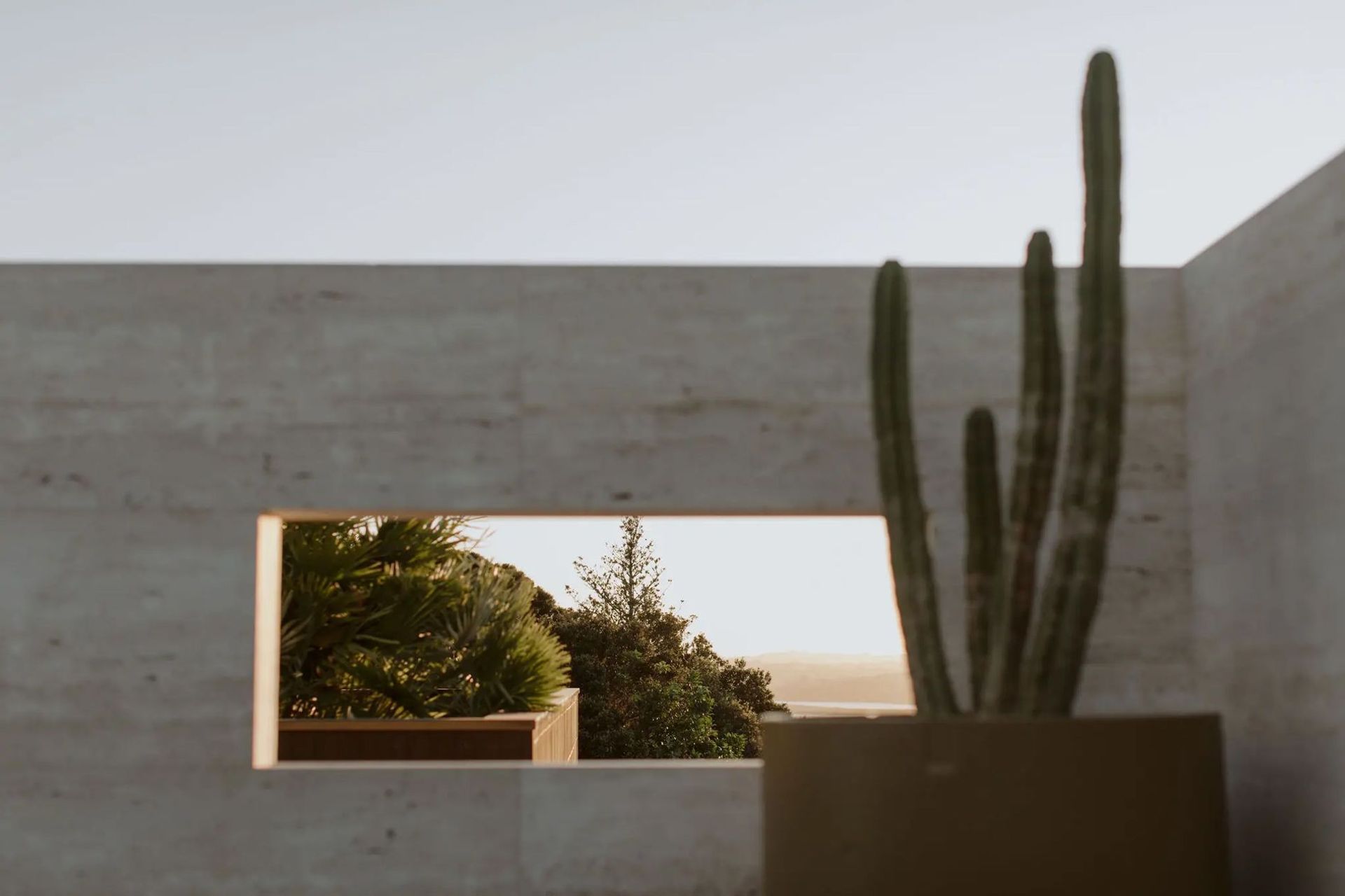 Alex &amp; Corban, Island Bay