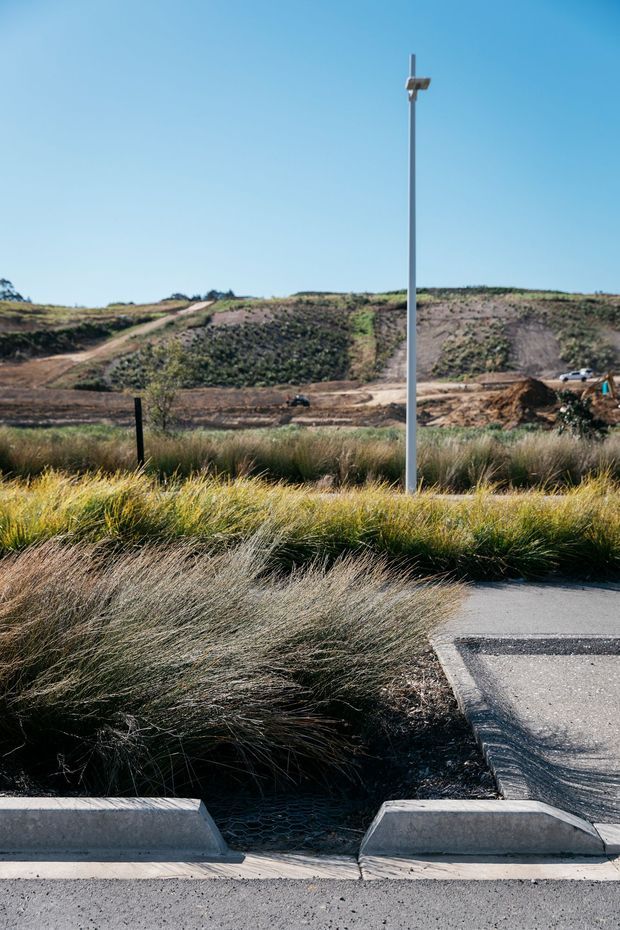 A landscaped roadside verge with dense ornamental grasses, concrete kerbs, a paved pedestrian path, and a tall minimalist light pole. Beyond the planted foreground is an undeveloped, gently sloping site with dirt tracks and sparse vegetation under a clear blue sky.