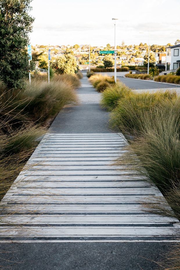 A landscaped suburban streetscape viewed from a pedestrian path, with a broad timber-plank bridge or boardwalk in the foreground, concrete footpath, native tussock grasses, street signage, road, and modern homes on a gently elevated residential hillside in the background.