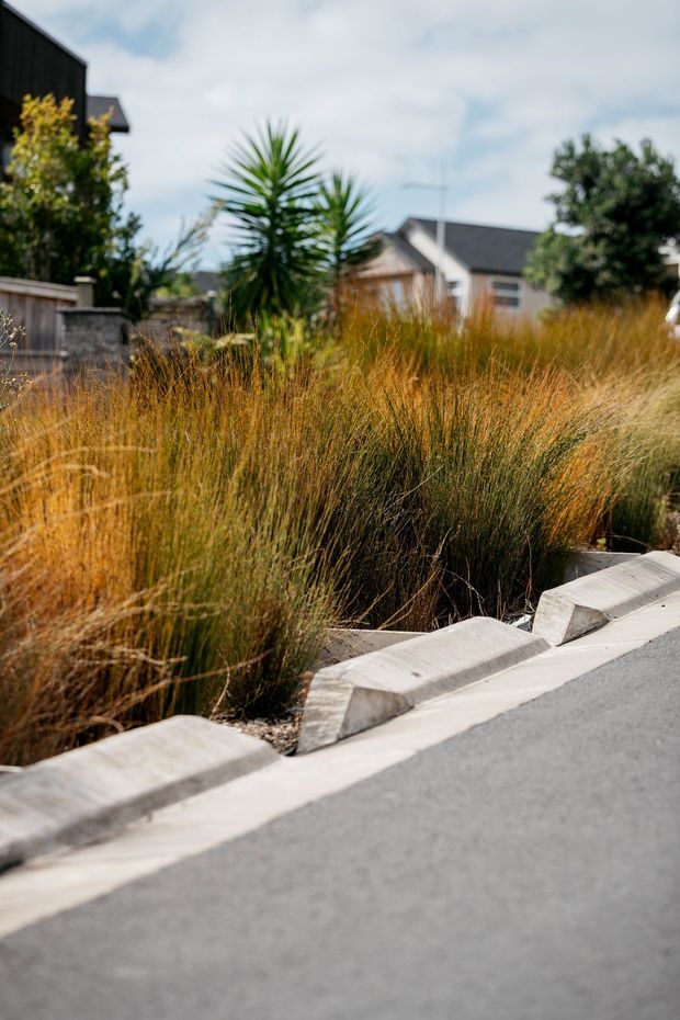 A landscaped suburban streetscape featuring dense ornamental grasses and yucca-like planting beside a paved road. Angled concrete kerbs and a light concrete verge define the garden edge, with modern dark-clad and light-rendered houses softly visible in the background.