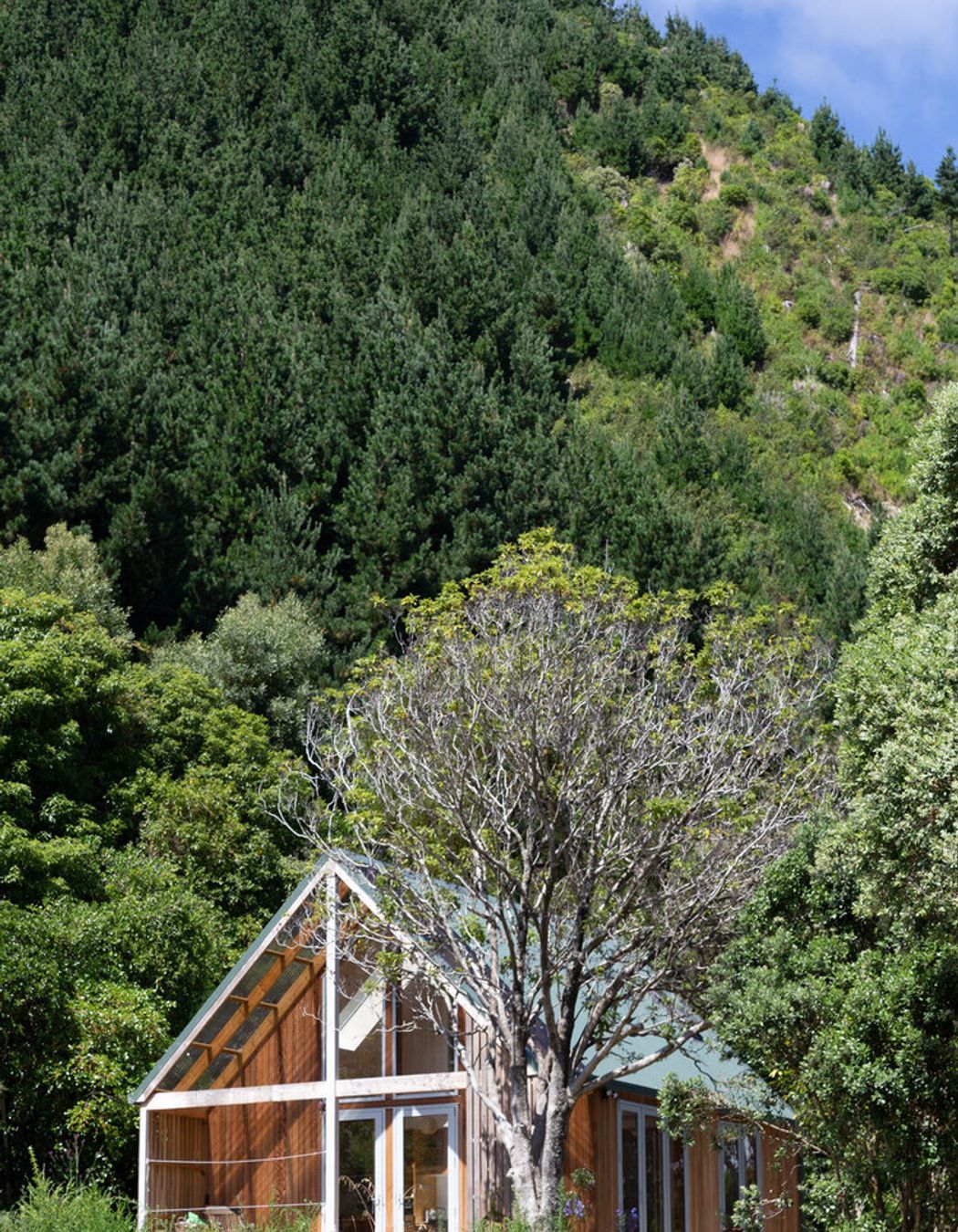 Stephenson Shand House 