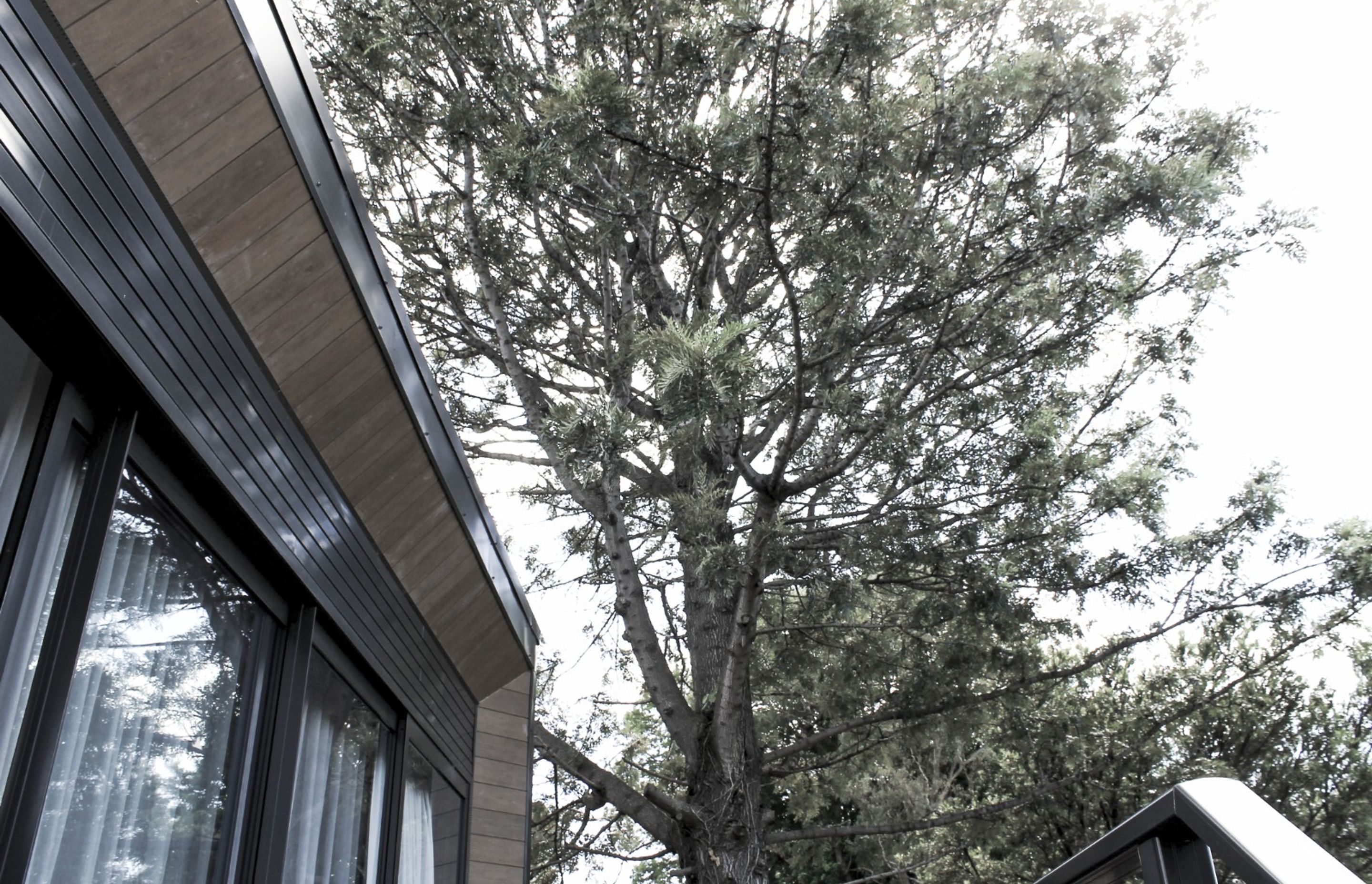 Rozelle House