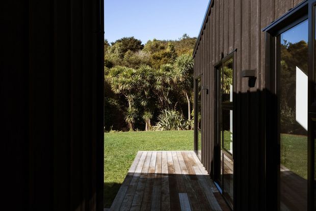 A narrow exterior passage between dark-clad building volumes opens onto a timber deck and manicured lawn. The facade features vertical dark weatherboard cladding, black-framed glazing, and simple wall-mounted exterior lights. Dense native-looking planting forms a green backdrop, with strong sunlight and deep shadows creating a dramatic, secluded connection between the building and garden.