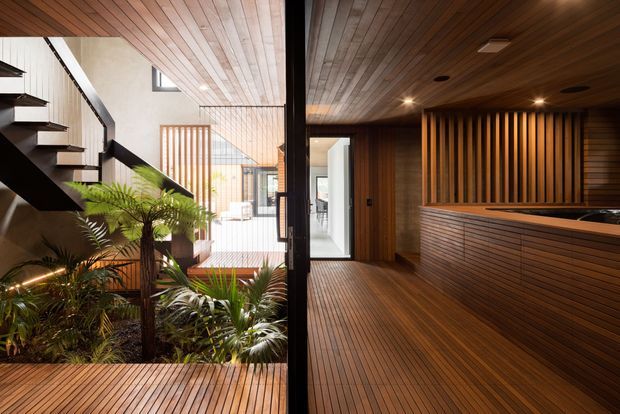 Interior view of a contemporary timber-lined home featuring a warm wood-paneled ceiling and floor, a dramatic black open-riser staircase, lush indoor planting around a central void, and a built-in timber bar or kitchen counter with vertical slatted detailing. Daylight enters through the open courtyard-like space and glazing, creating a connection between the levels.