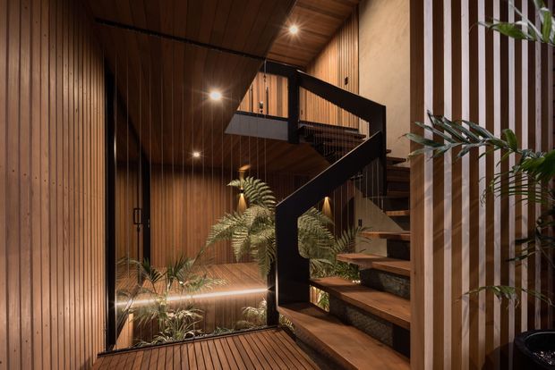Warm, dramatic interior view of a multi-level stairway with dark timber treads, black steel balustrade, vertical timber wall panelling, and lush planted garden beds beneath the stairs. Recessed and concealed lighting highlights the timber-lined circulation space and open stair void.
