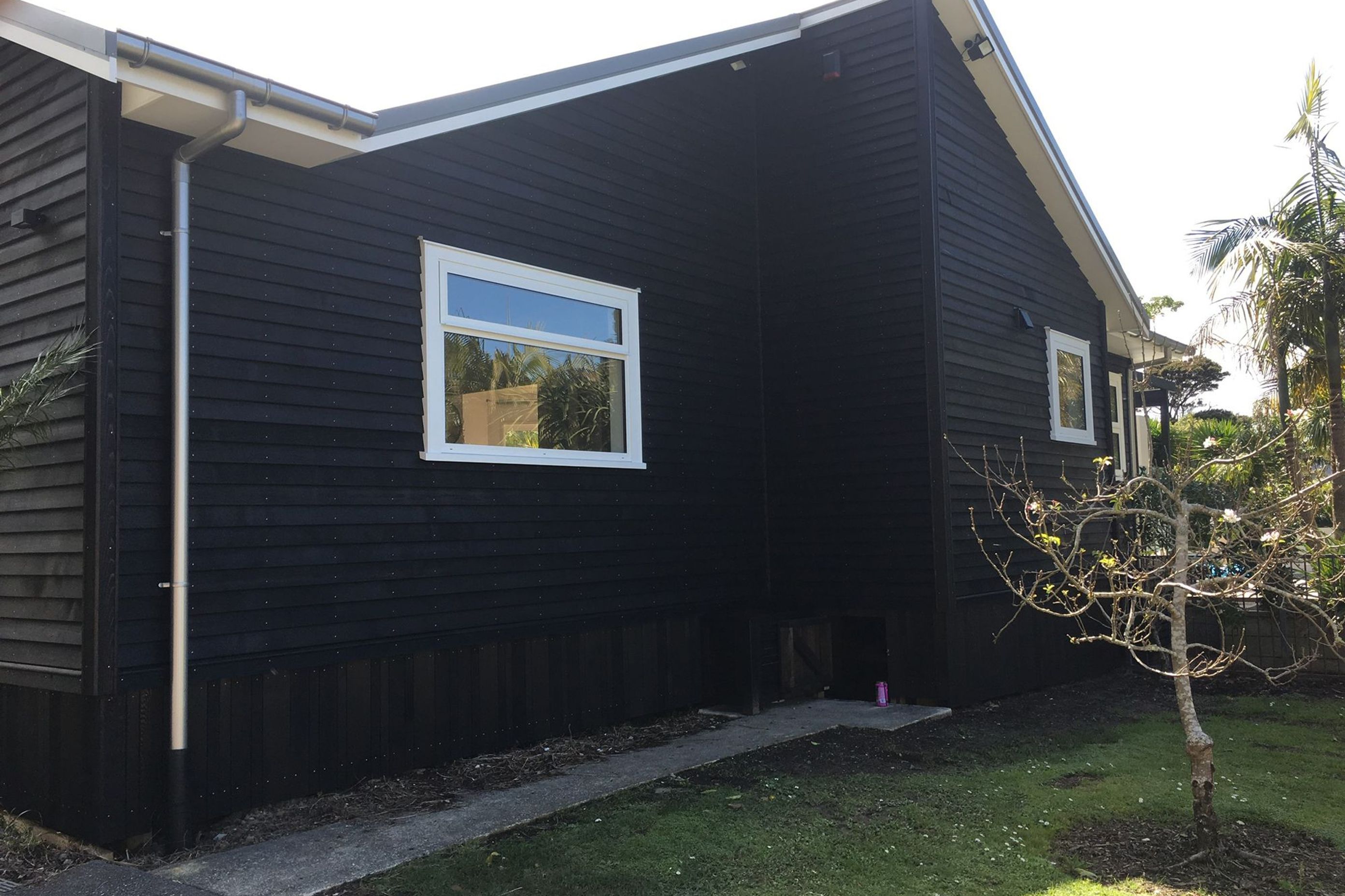 Our Recent Project