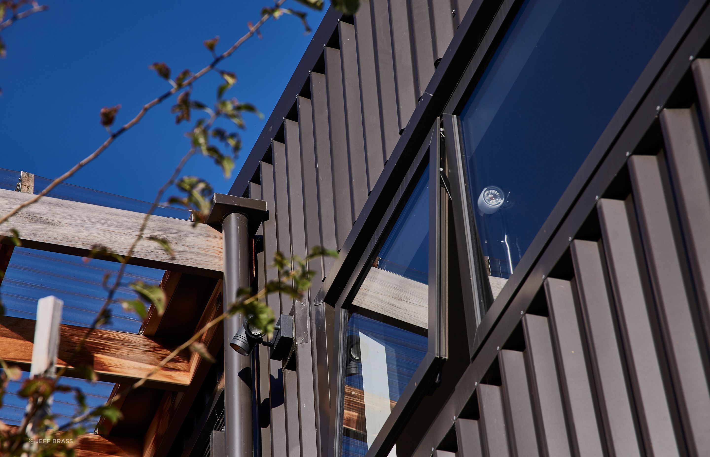 Infill House