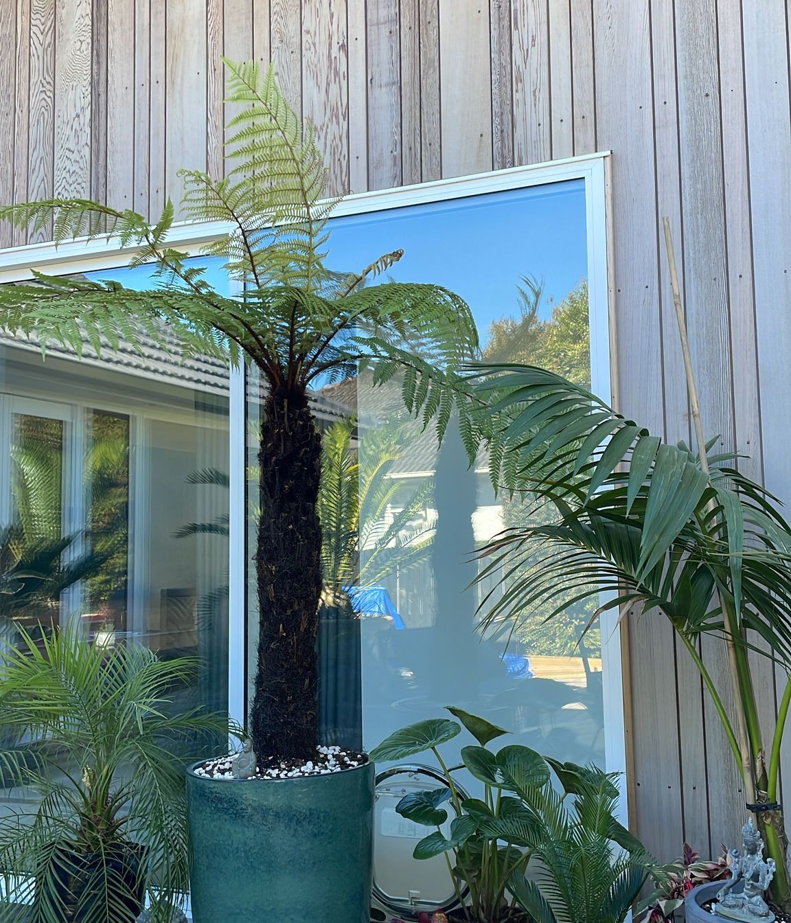 Tangaroa