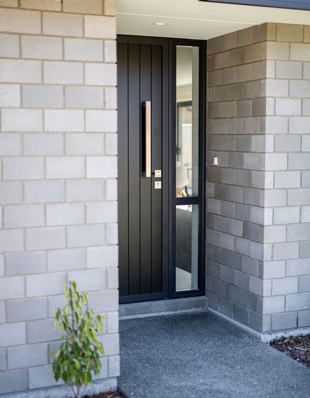Our Recent Projects