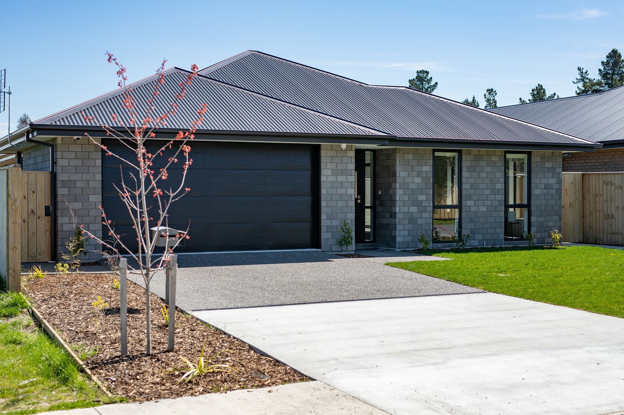 Our Recent Projects