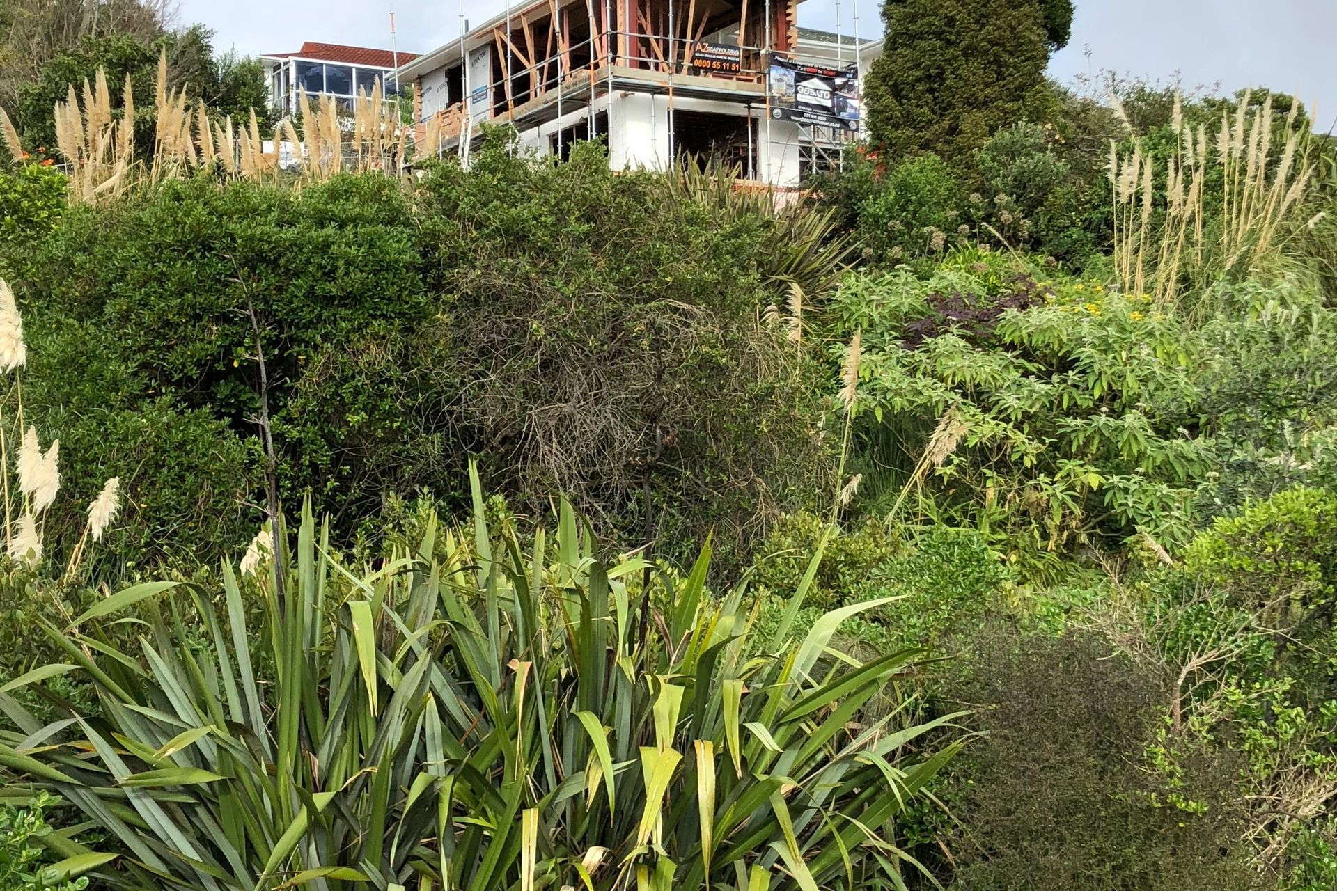 Glendowie Heriteage Reno