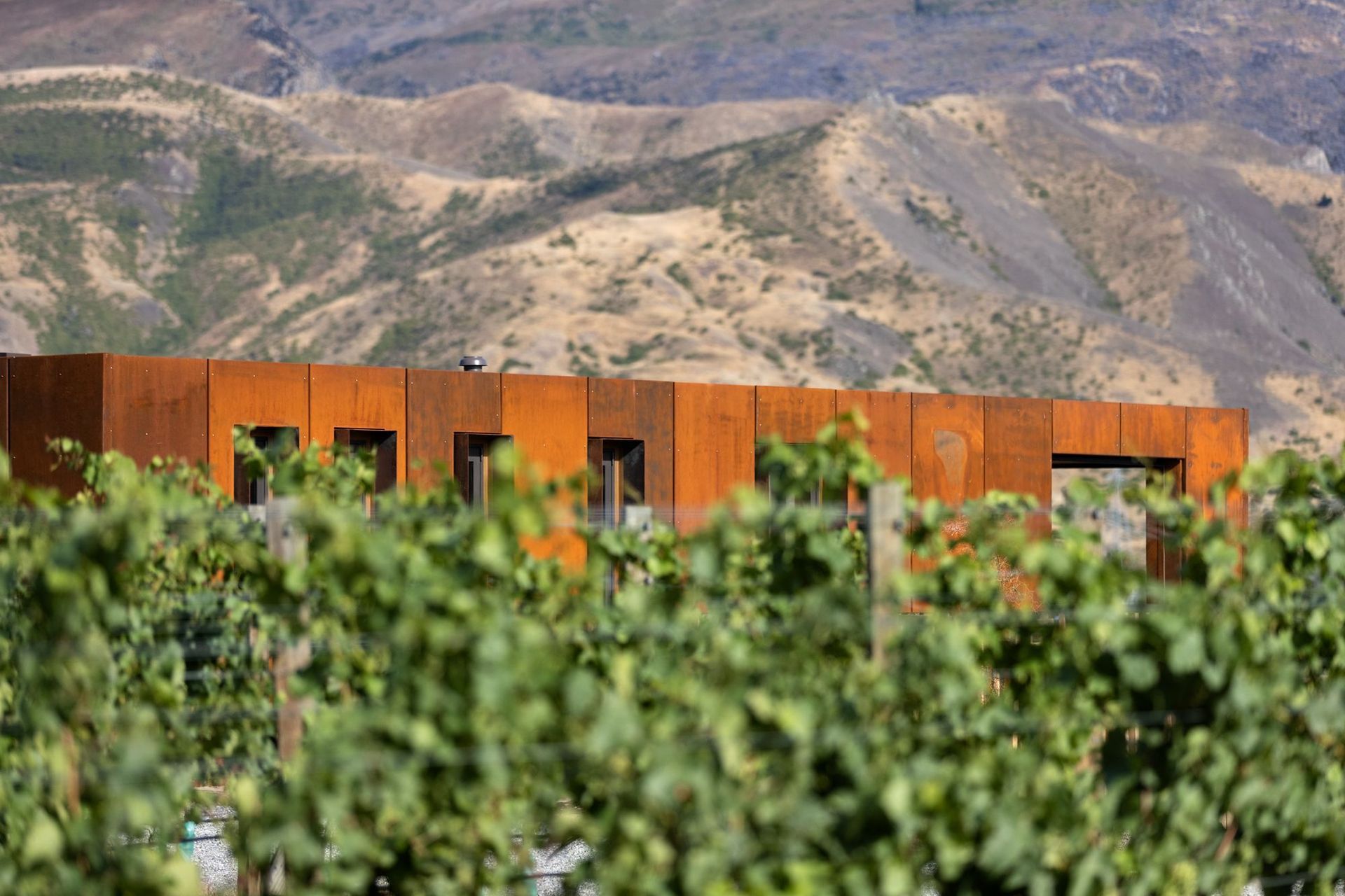 “I think there's a real responsibility to design buildings in a landscape like this,” says Hamish. “Hopefully our contribution here enhances the area of Bannockburn.”