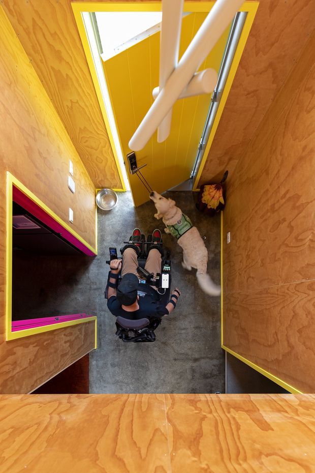 Top-down photograph of a compact interior corridor or entry area with extensive warm plywood wall and ceiling surfaces, bright yellow doors and trim, and vivid magenta door reveals. A wheelchair user and service dog occupy the central circulation space. A large overhead opening or skylight and white structural or handrail elements are visible above, emphasizing the accessible, highly graphic interior design.