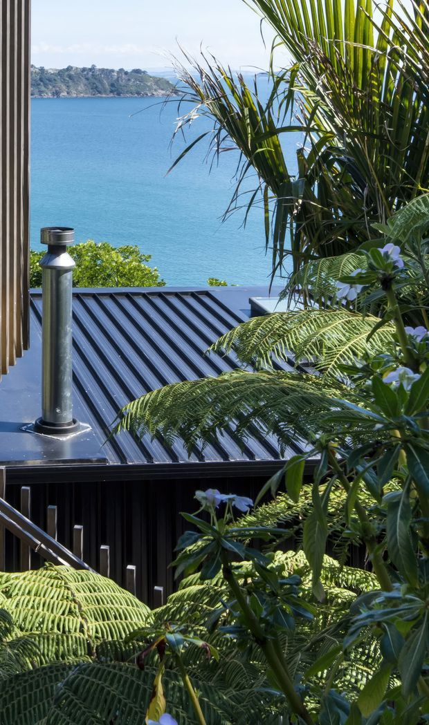A view from a building toward a vivid blue coastal inlet, with a forested headland across the water. In the foreground, lush tropical and fern-like planting partially obscures a dark ribbed metal roof and black exterior wall, with a metal roof vent visible. A timber-framed edge appears along the left side. The scene is bright, leafy, and strongly connected to a coastal landscape.