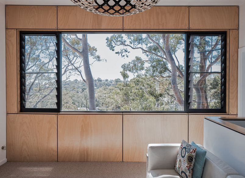 Tree Top House