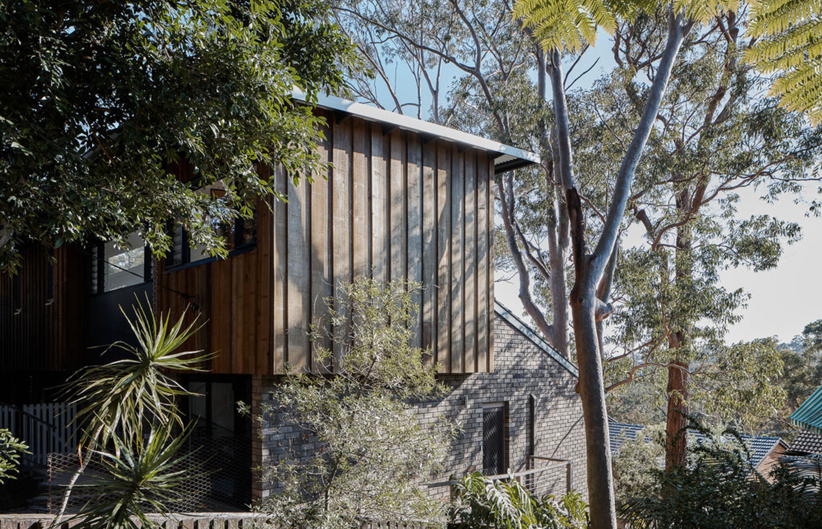 Tree Top House