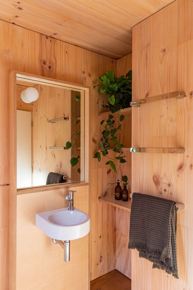 Compact bathroom clad throughout in warm, knotty timber, with a white wall-mounted basin, chrome tap and exposed plumbing, framed mirror, open timber shelving, towel rail, toiletries, and trailing indoor plant. The small space has a cohesive natural-wood finish and warm ambient lighting.