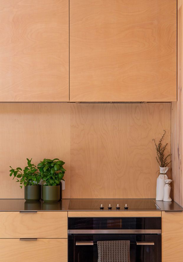 A close-up view of a compact, highly integrated kitchen with light timber veneer cabinetry extending across the walls and overhead cupboards. A black glass cooktop, built-in oven, and dark benchtop create contrast, while potted plants and sculptural white vases add understated decoration. The design is clean-lined and minimal with concealed or recessed handles and a warm natural timber palette.
