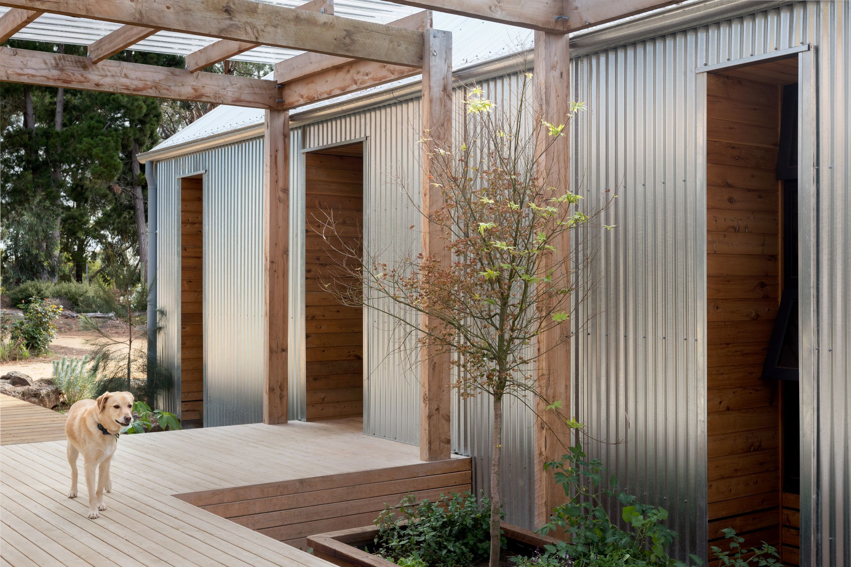 Bellbrae0010-1-v2.jpg