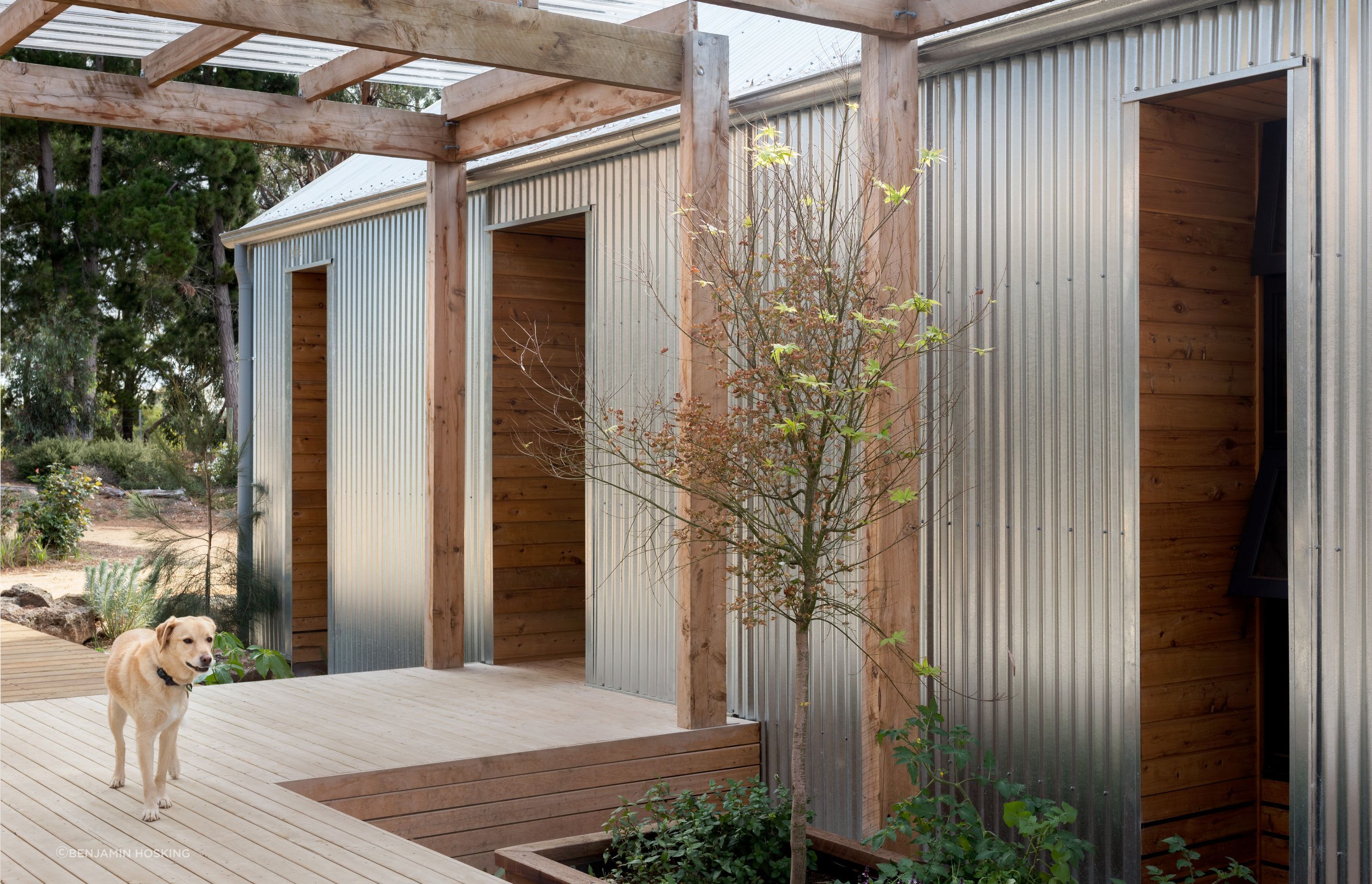 Bellbrae0010-1-v2.jpg