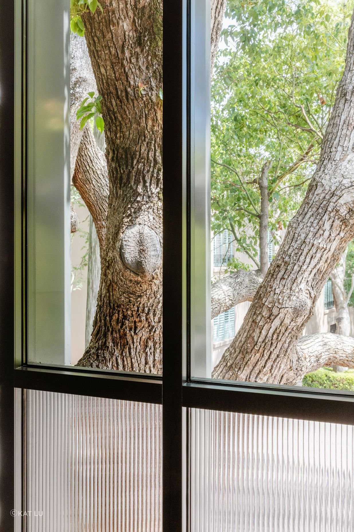 Woollahra Treehouse