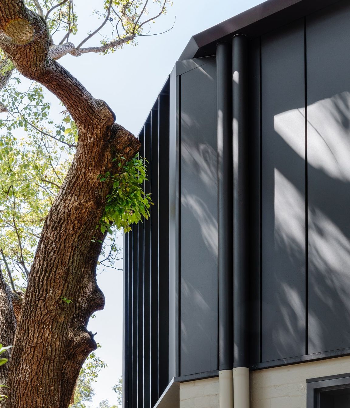 Woollahra Treehouse