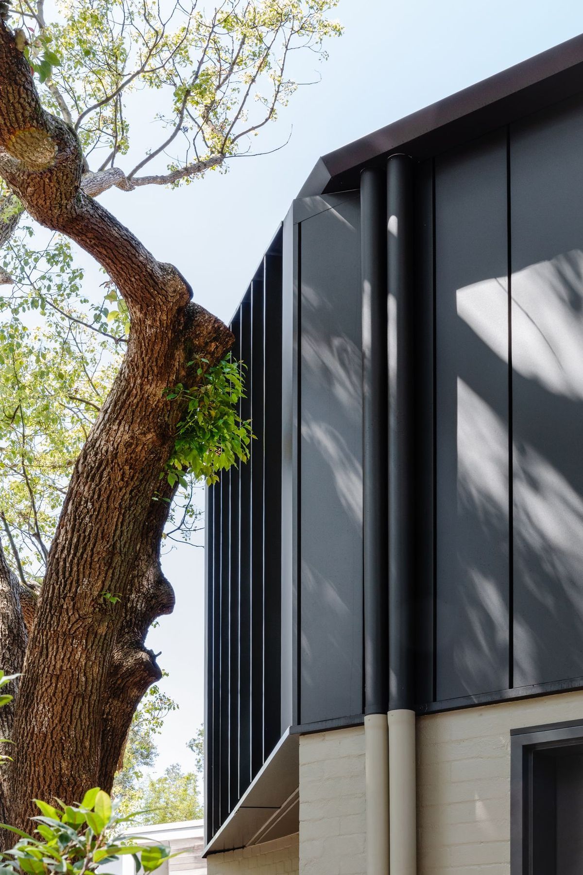 Woollahra Treehouse