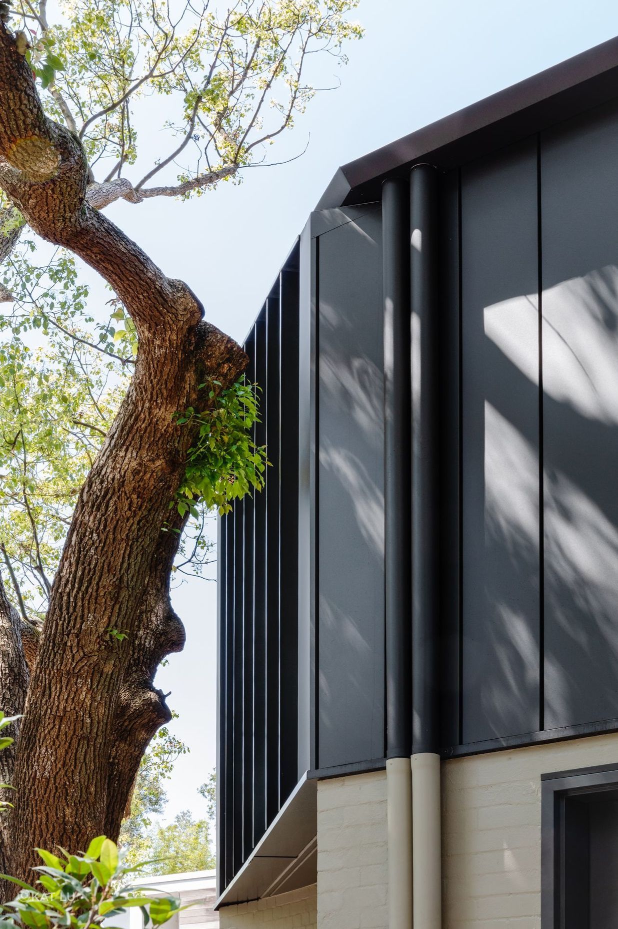 Woollahra Treehouse
