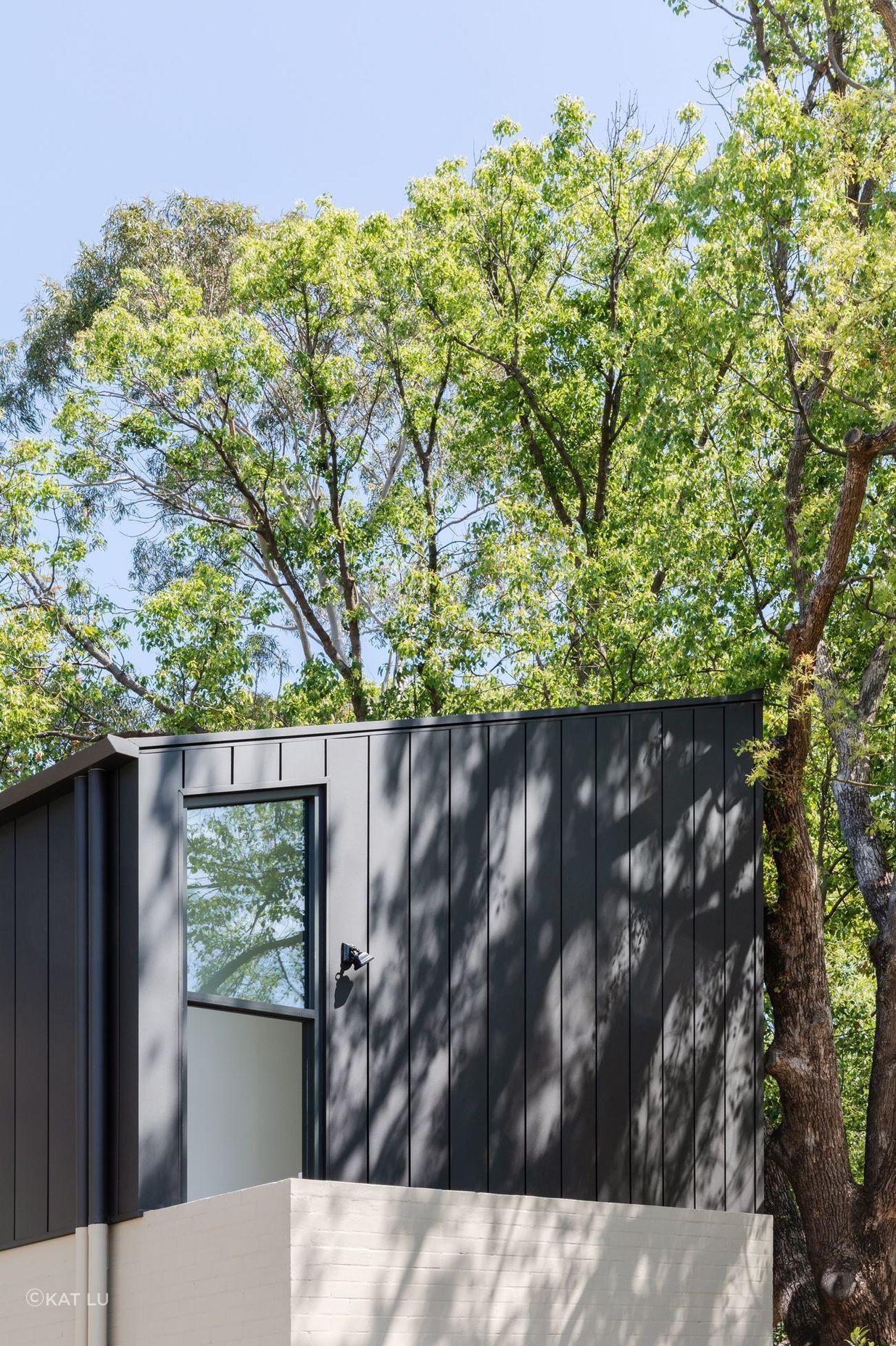 Woollahra Treehouse