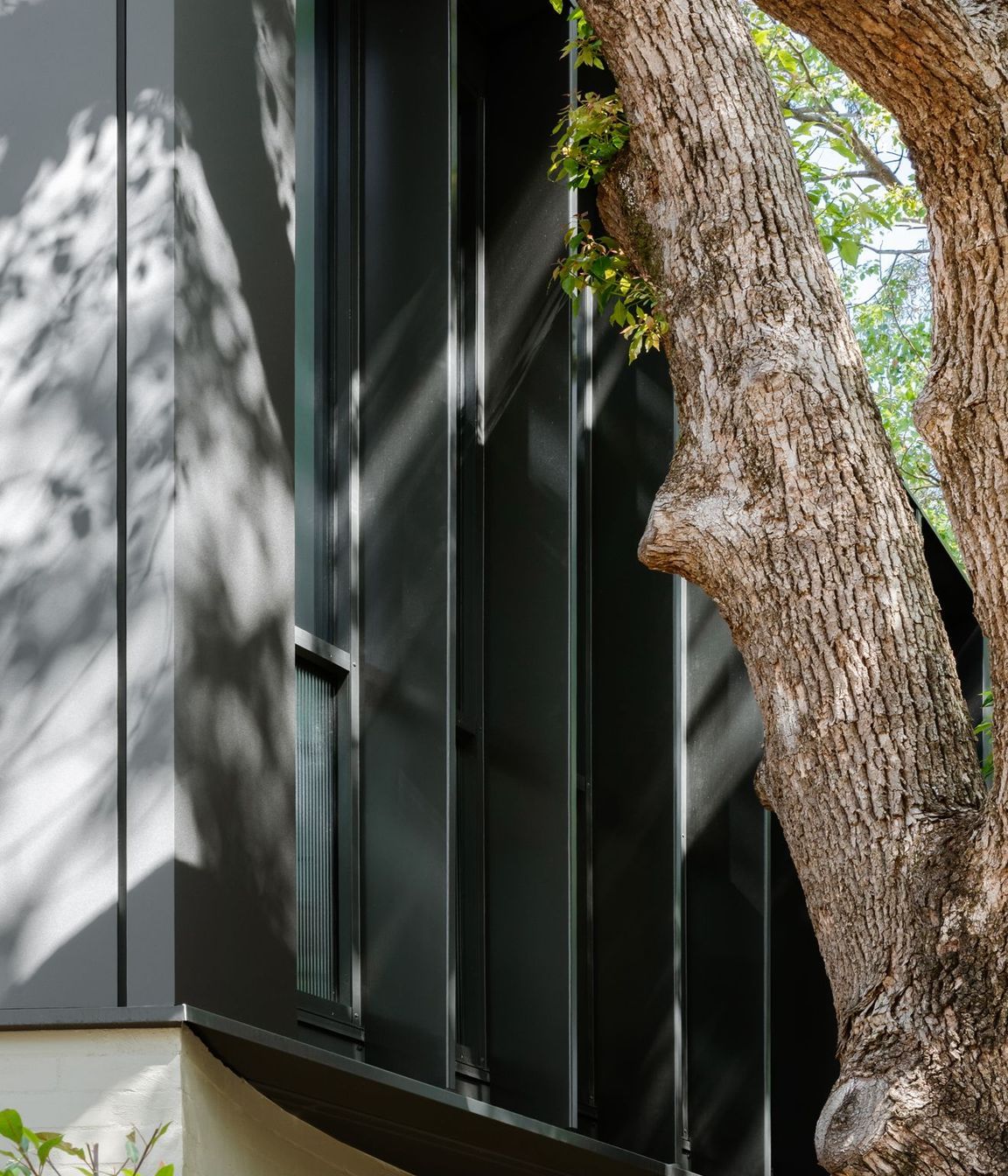 Woollahra Treehouse