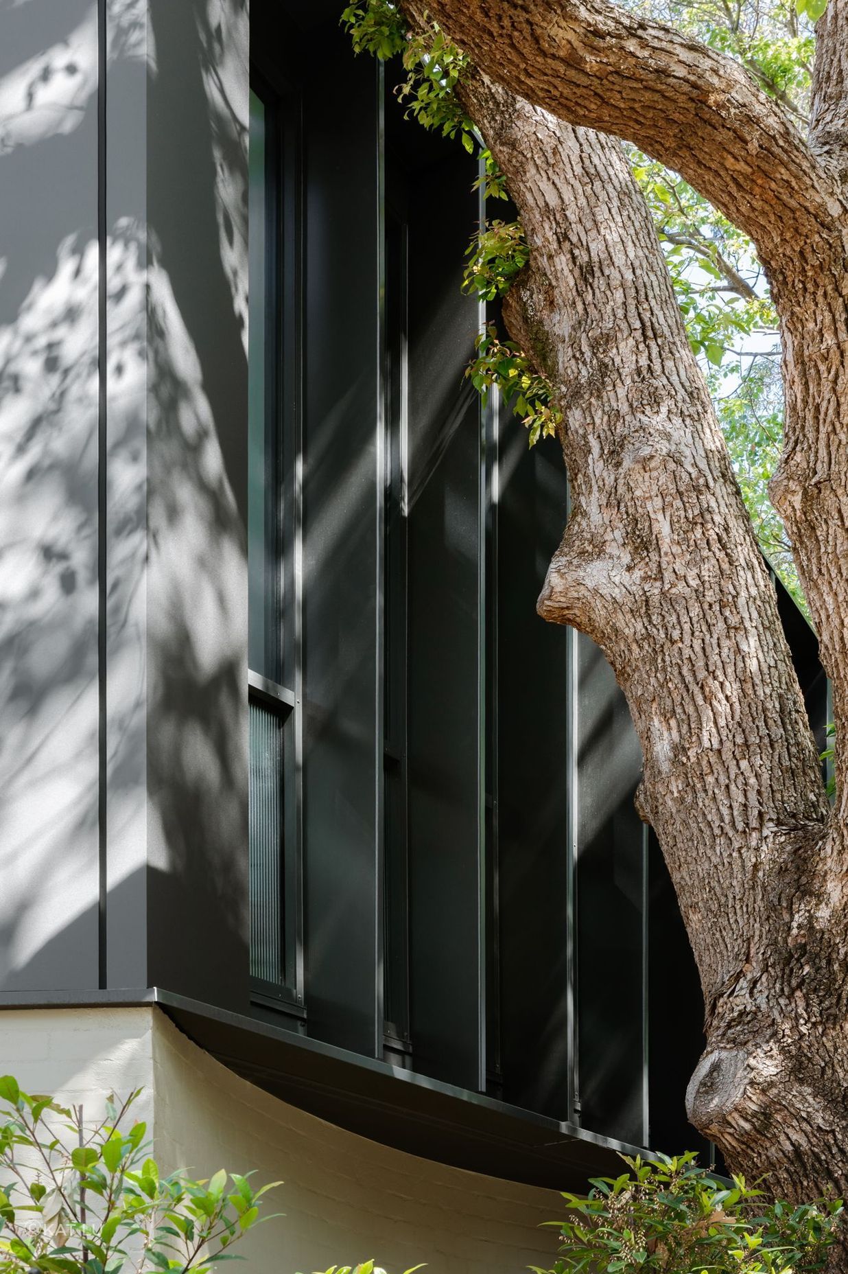 Woollahra Treehouse