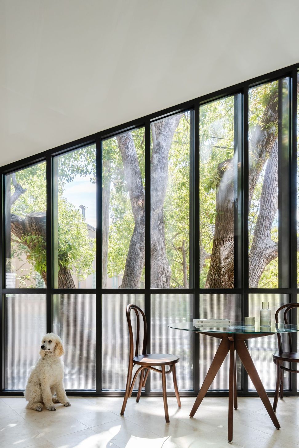 Woollahra Treehouse