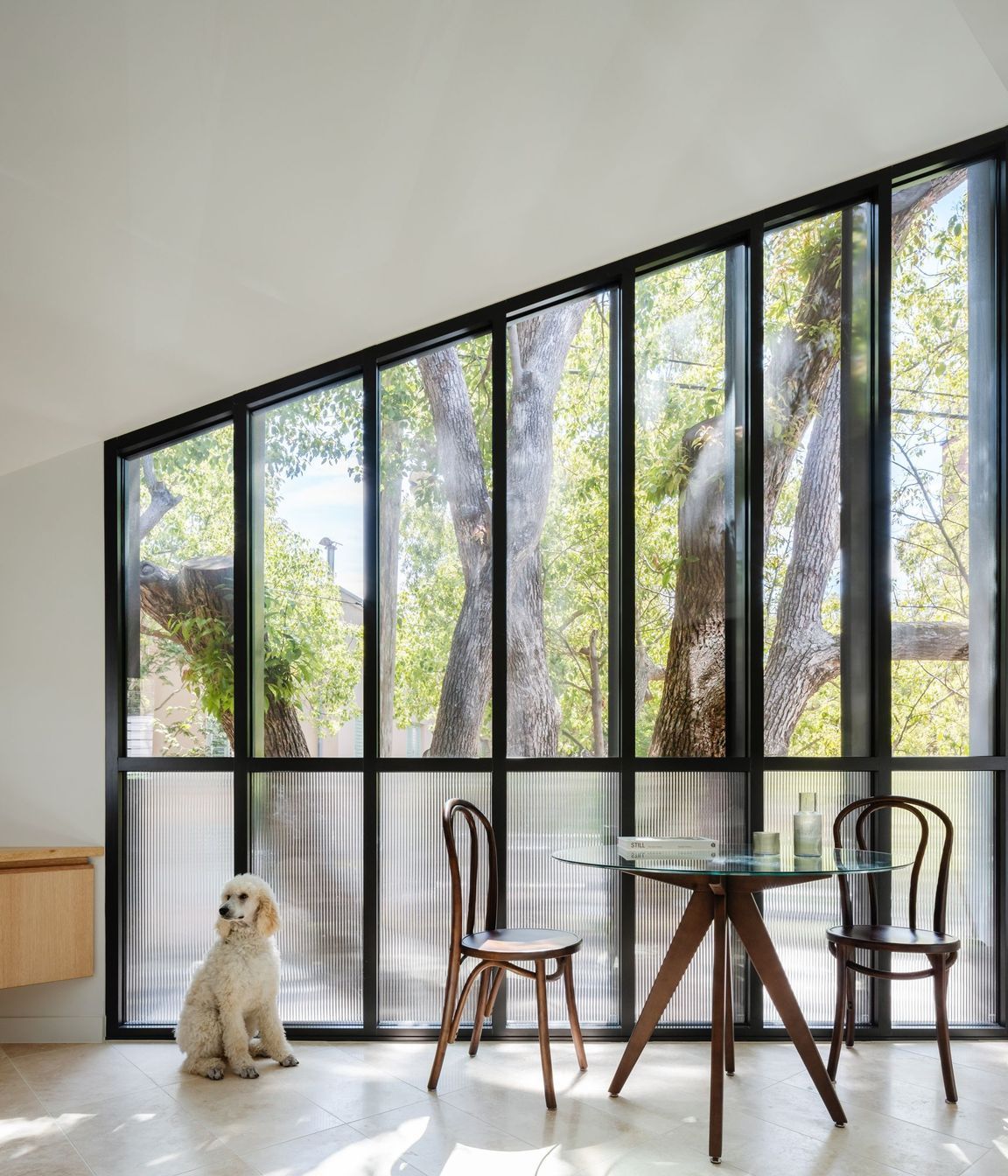 Woollahra Treehouse
