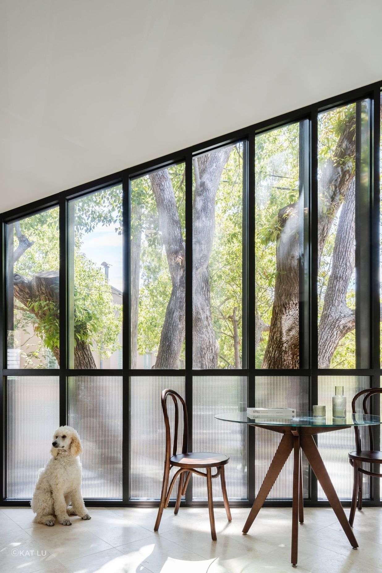 Woollahra Treehouse