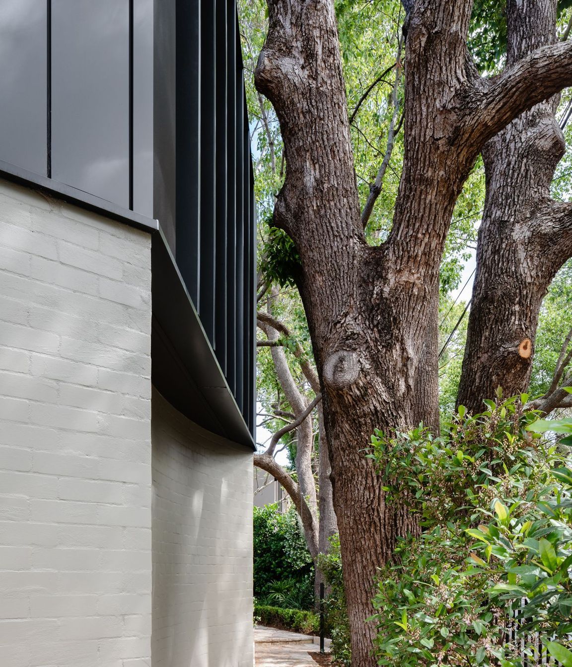 Woollahra Treehouse