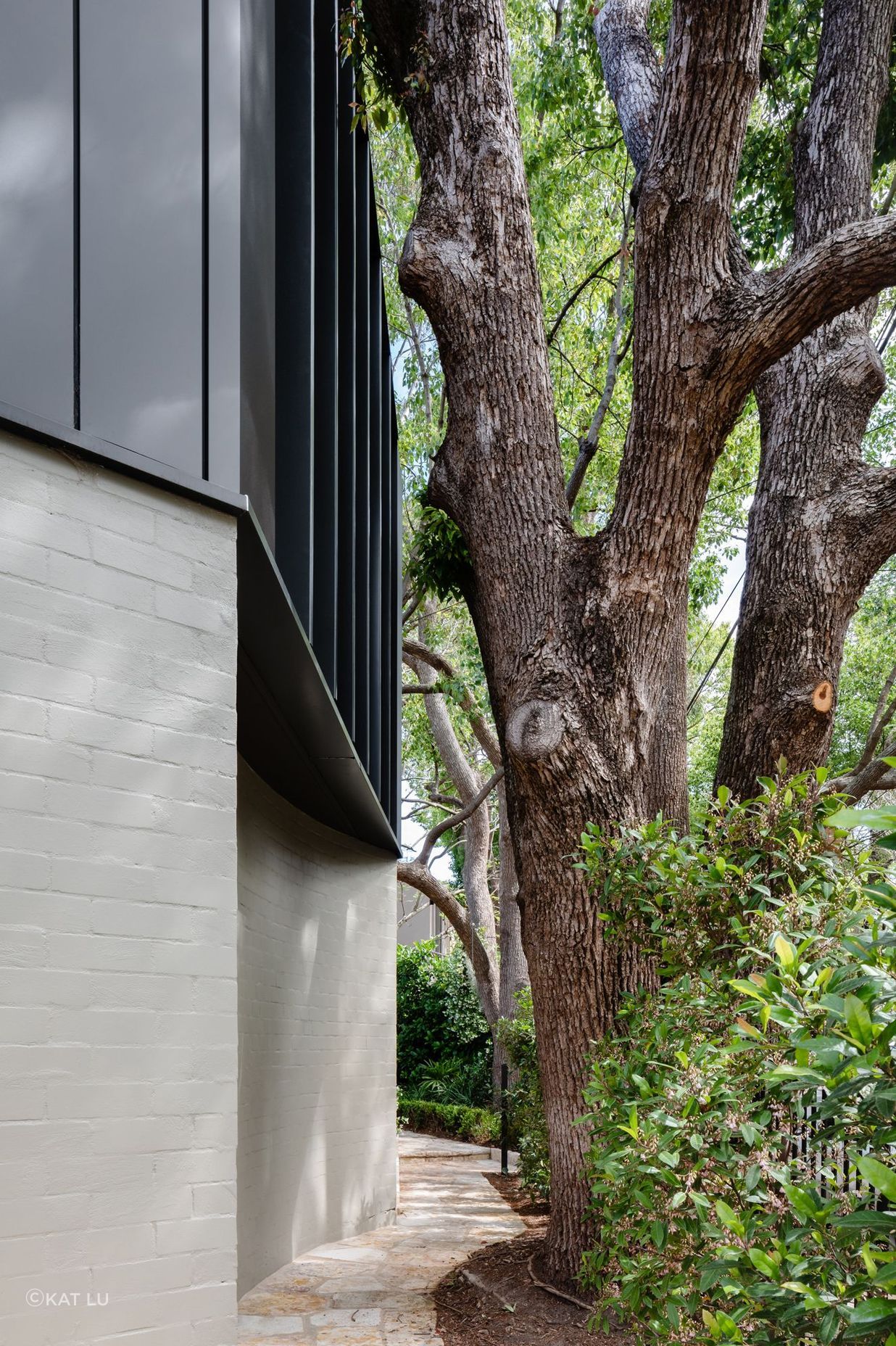 Woollahra Treehouse