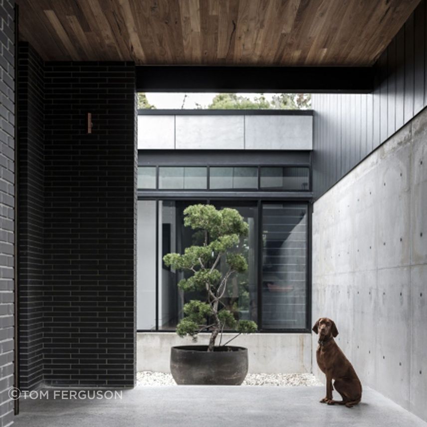 CARRINGTON-RD-RESIDENCE01.jpg