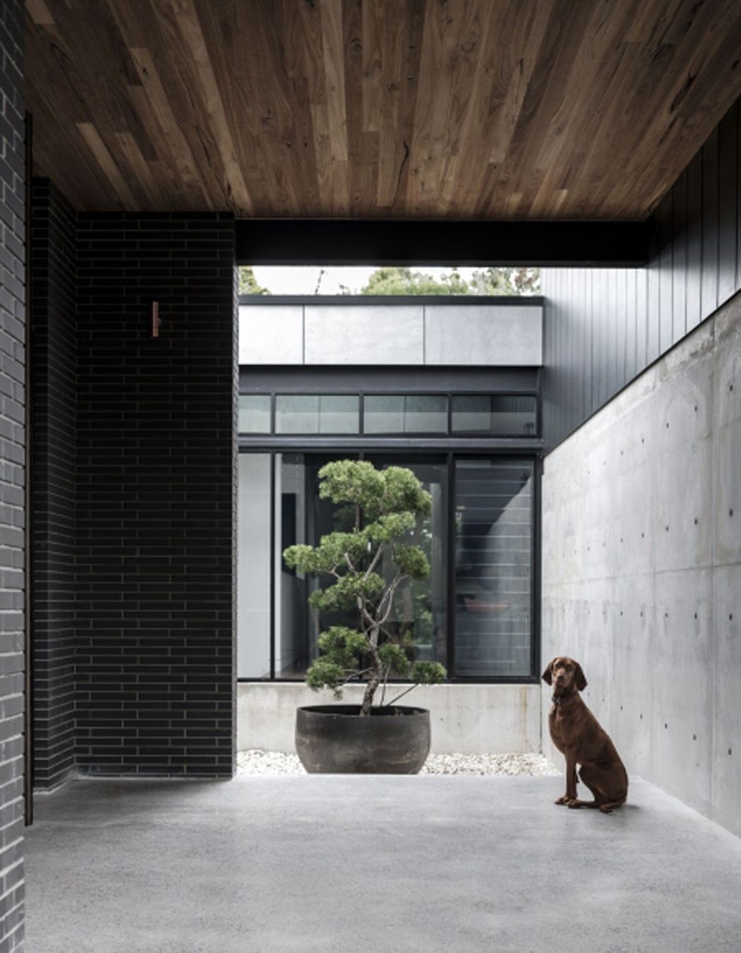 CARRINGTON-RD-RESIDENCE01.jpg