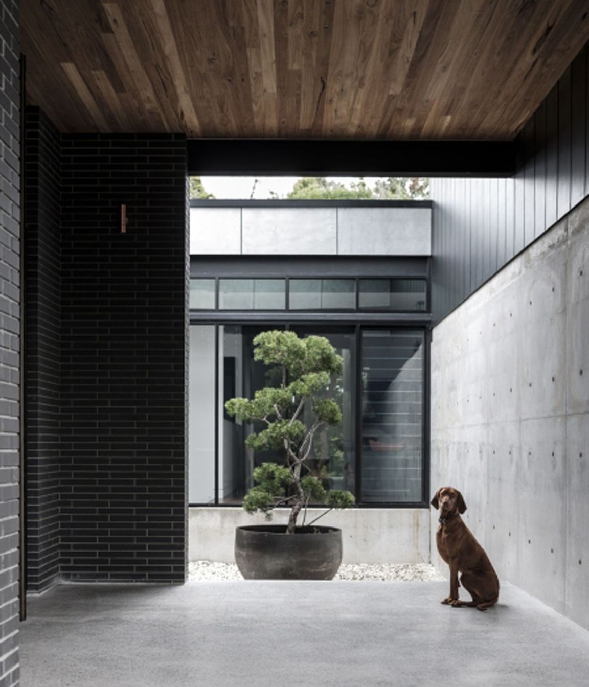 CARRINGTON-RD-RESIDENCE01.jpg