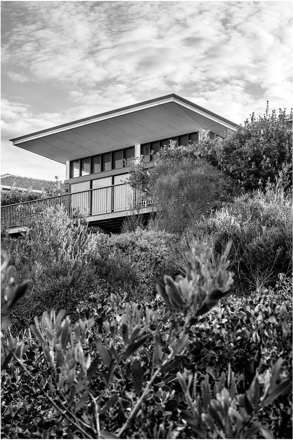 CGLArchitectureNewman80004-1.jpg